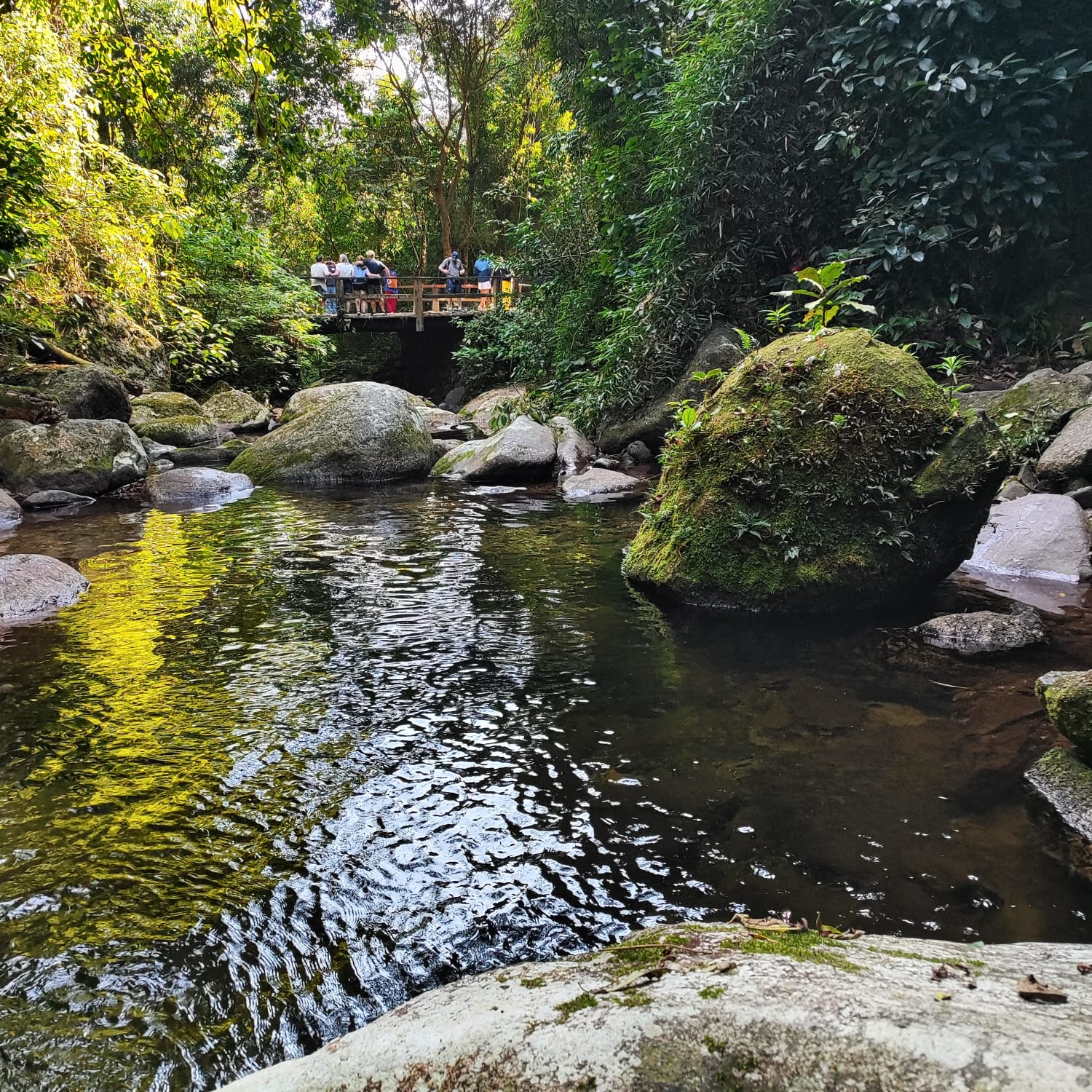 Natureza exuberante de Ilhabela