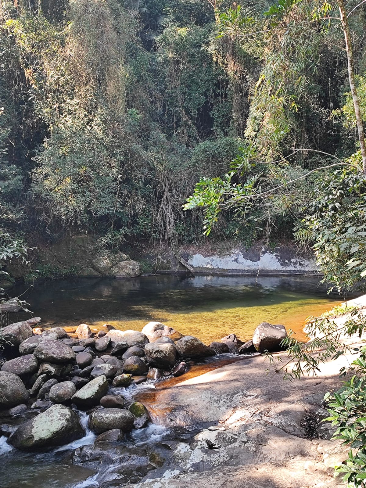 Trilha na Mata Atlântica