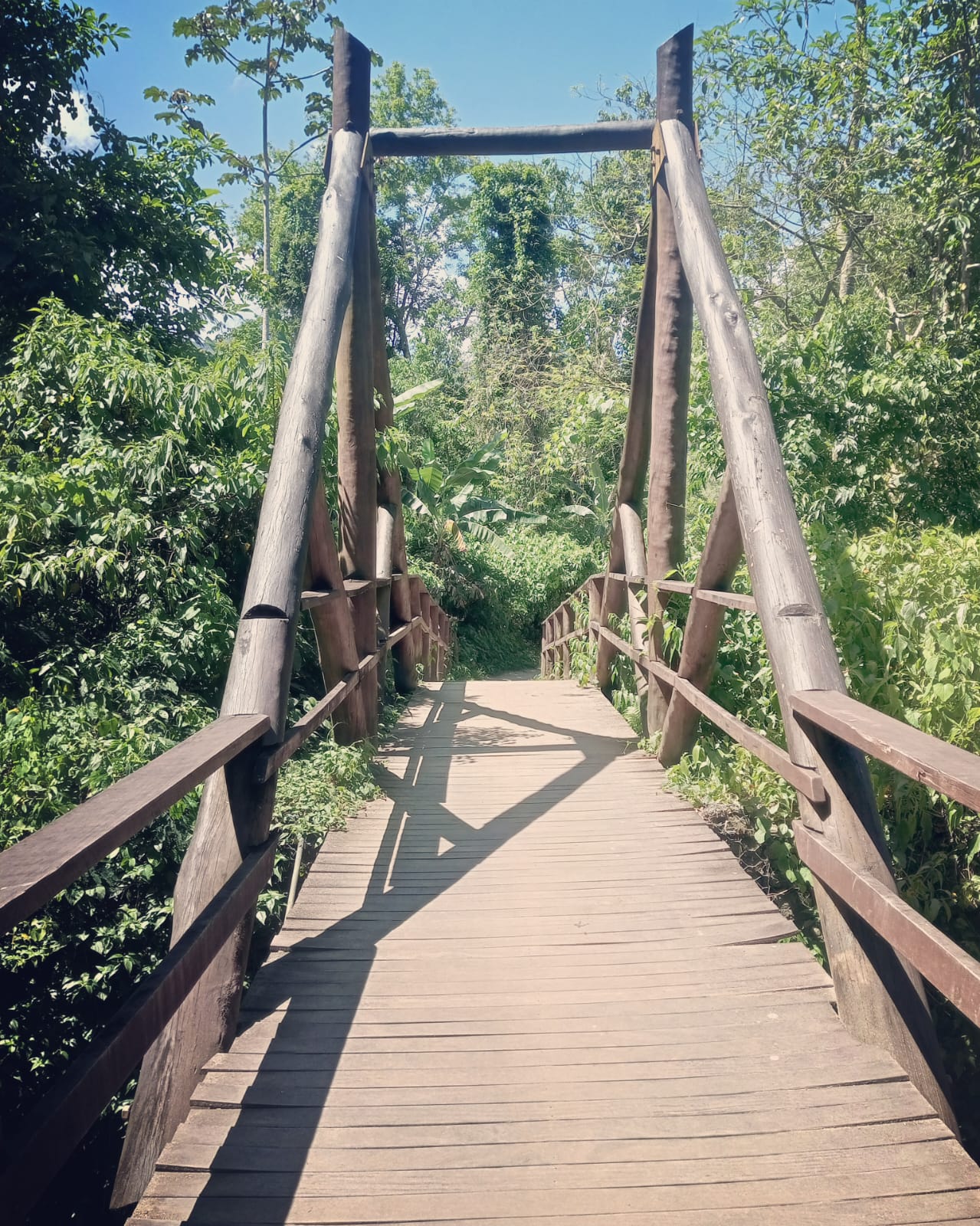 Vista panorâmica do mirante com deck de madeira