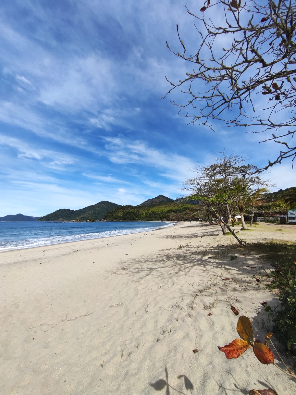 Vista panorâmica do mirante com deck de madeira